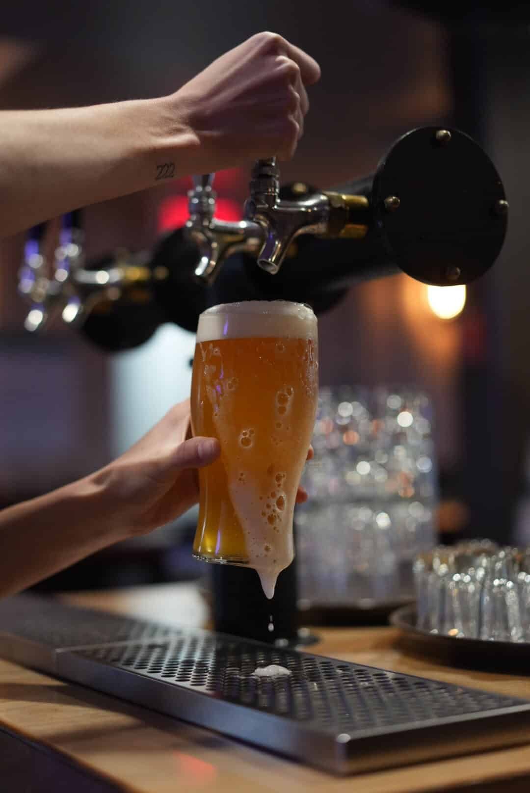 verso pub alpin, au Mont Orignal dans la municipalité de Lac-Etchemin